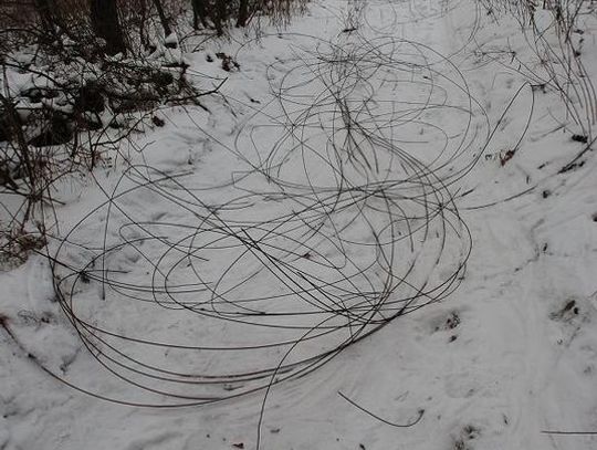 Ukradli kabel na szlaku kolejowym 