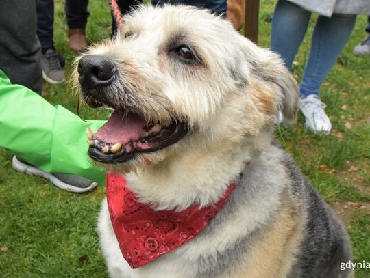 Ula Matula i Mathea zostały Kundelkami Roku 2019