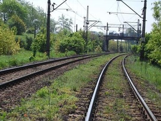 Upały opóźniają pociągi. Wyboczenia zagrażają torowiskom