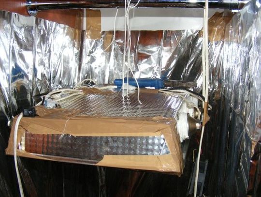 Uprawa marihuany w szafie 