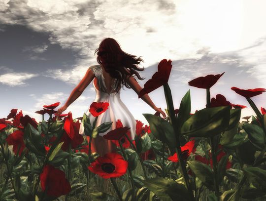 Uroda odkryta szamponem 