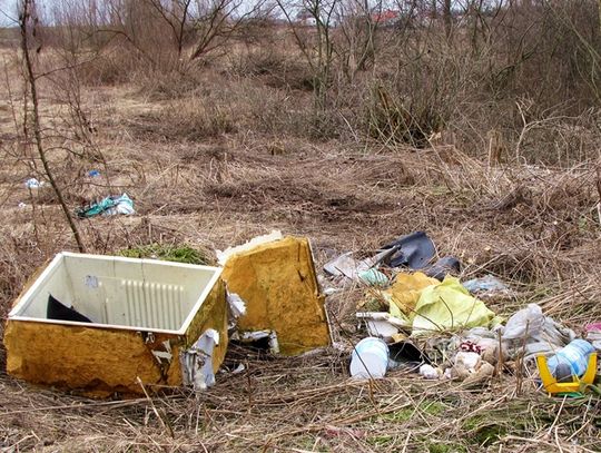 Urzędnicy pytają mieszkańców jak chcą płacić za śmieci