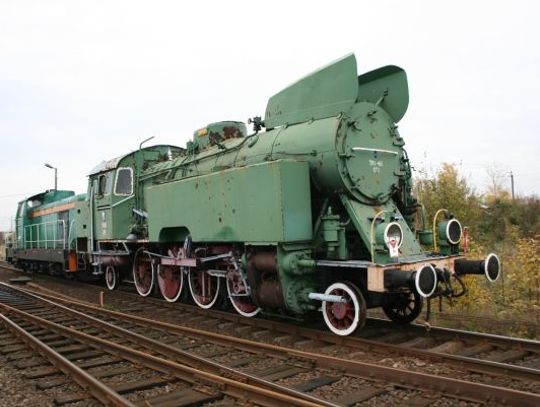 Uszatek o wadze 100 ton w Centrum Wystawienniczym