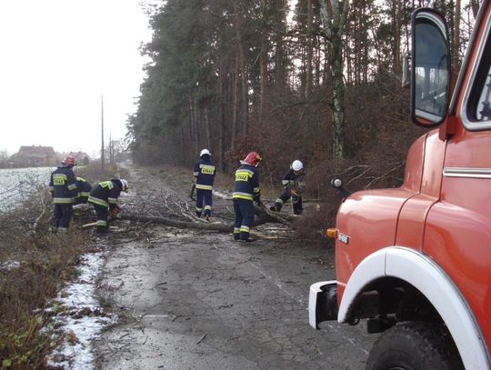 Uwaga: Orkan Aleksandra - drugi stopień zagrożenia w pomorskim