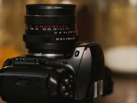 Uwiecznij najważniejsze chwile. Oferta fotograf Martyny Sikory z Gdańska
