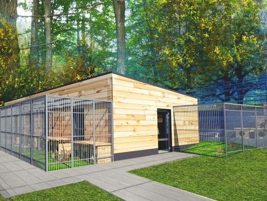 W „Ciapkowie” powstanie nowy pawilon dla kotów