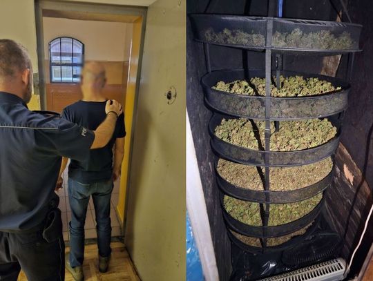 W domu 51-latka z Ryjewa policja znalazła znaczne ilości narkotyków