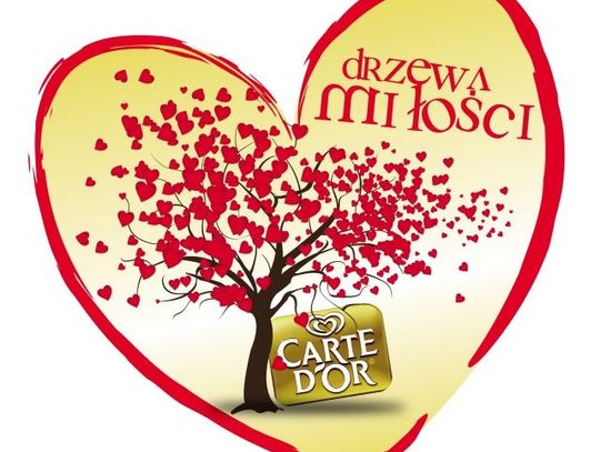 W Gdańsku zakwitną Drzewa Miłości