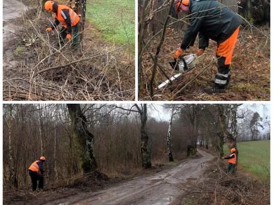 W gminie Zblewo trwa wycinka przydrożnych krzaków i niebezpiecznych gałęzi