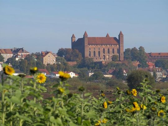 W Gniewie kręcą film! TVP1 ekranizuje powieść