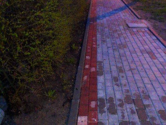  W Gniewie powstała najwęższa ścieżka rowerowa na świecie?