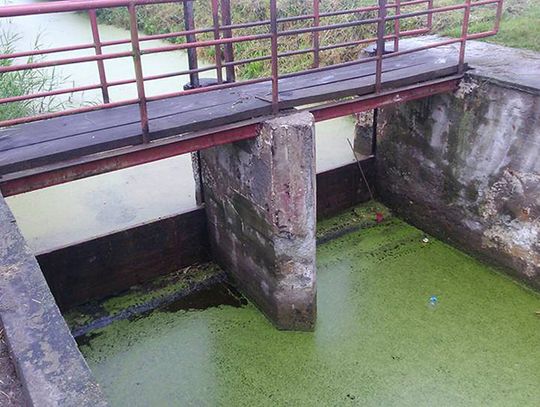 W korycie Liwy pojawi się woda