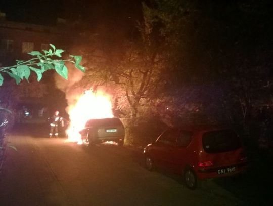 W nocy spłonęło kilkanaście aut