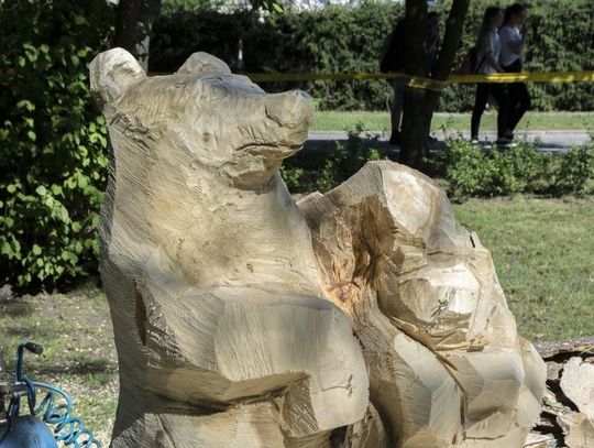 W parku Żelewskiego pojawią się nowi mieszkańcy