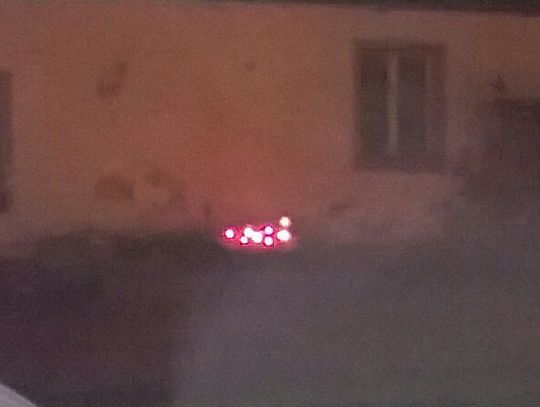 W Pelplinie po ścięciu kasztana ludzie zapalali znicze