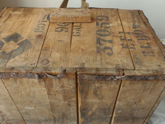 W skrzyniach ze śmietnika