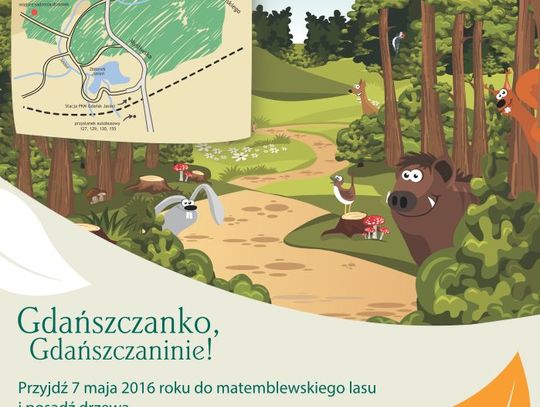 W sobotę posadż drzewo w Matemblewie