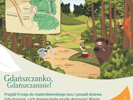 W sobotę wspólne sadzenie lasu w Matemblewie