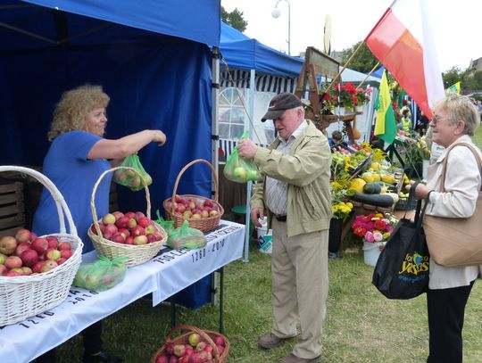 W środę rozdadzą kolejną  tonę jabłek