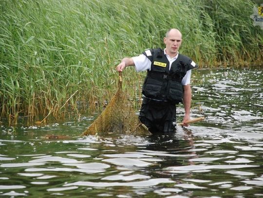 Walczą z kłusownikami