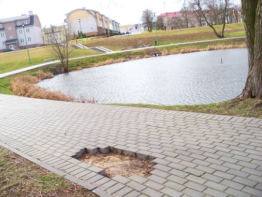 Wandale mają rozrywkę. Wyrywają kostkę i wrzucają do stawu