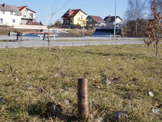 Wandale niszczą skatepark w Rożentalu