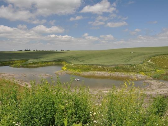 Weber przyjazny środowisku