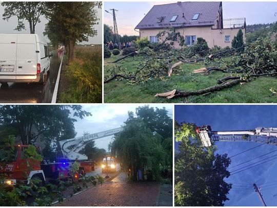 Weekendowa nawałnica zrywała dachy, powalała drzewa i łamała grube konary