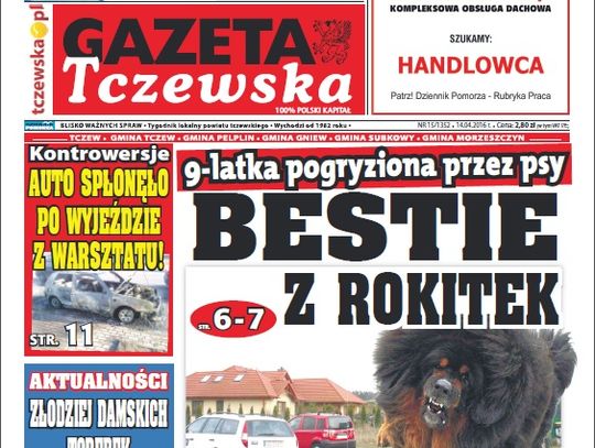 Weterynarz dla GT: uśpienie lub odebranie psów nie wchodzi w grę