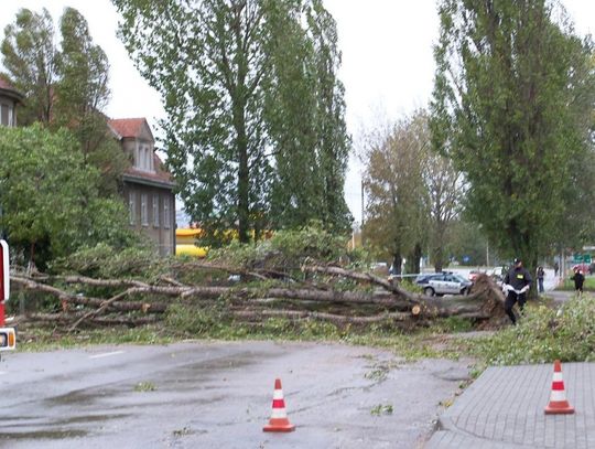 Wichura zaatakowała! Zablokowane drogi, zerwane linie energetyczne i dachy