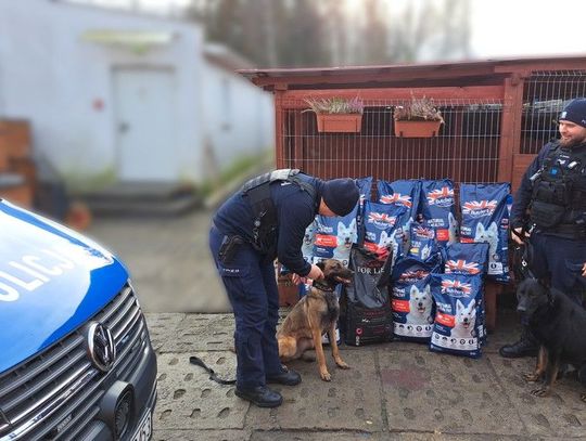 [WIDEO] Policjanci uzbierali 180 kilogramów karmy dla bezdomnych zwierząt