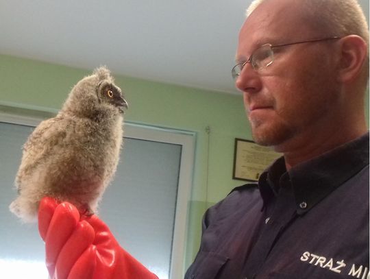 Widzisz podlota? Nie dotykaj!