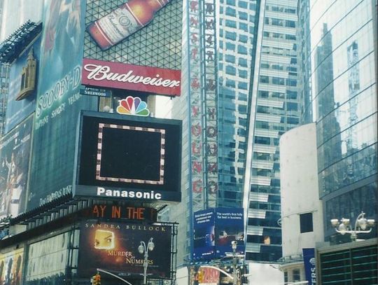 Wielka, fascynująca... dżungla. Tczewianie na wakacjach – USA