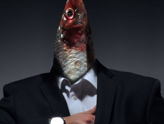 Wielkie inspiracje, twórcza praca