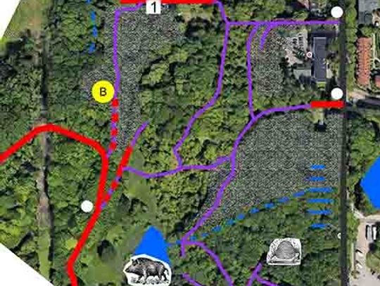 Wielkie Sprzątanie „Dzikiego Sadu” w Orłowie