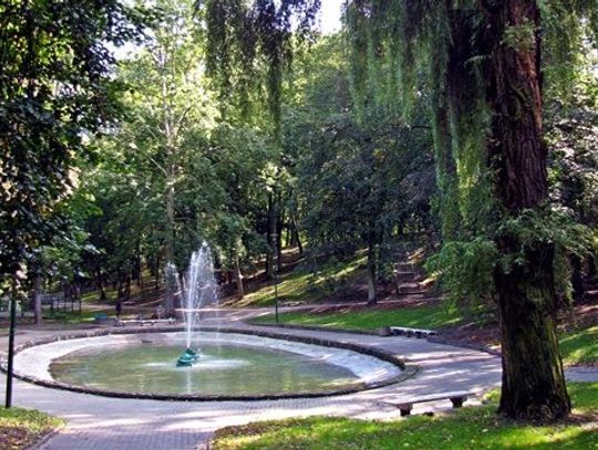 Wiemy gdzie w Tczewie będą kolejne tereny zielone