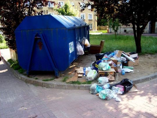 Wiosenne porządki na okoliczność Dnia Ziemi