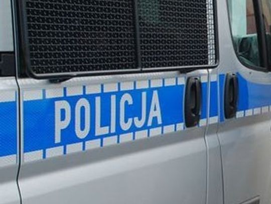 Wjechał w ogrodzenie posesji - bez "prawka" na podwójnym gazie