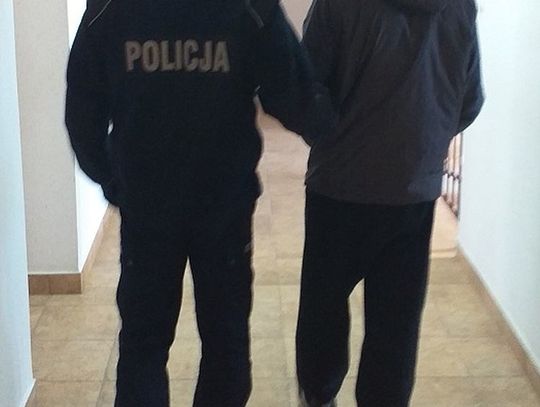 Włamał się do samochodu i garażu 