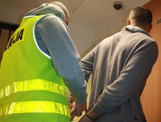 Włamywali się do domów jednorodzinnych na terenie Sopotu i Gdyni