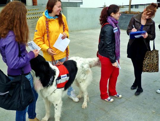 Włodarze, nie ignorujcie obywateli! Petycja za mostem