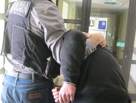 Wnuk wypatrzył złoczyńców