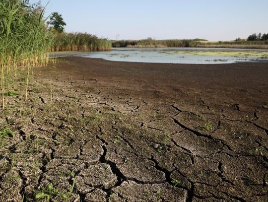 Wody w kranach nie powinno zabraknąć