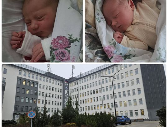 Wspaniałe, noworoczne narodziny w KCZ