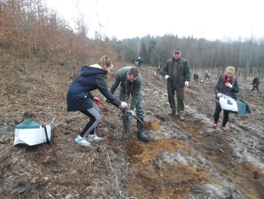 Wspólnie posadzili las dla pokoleń. Jubileusz 70 - lecia RDLP w Gdańsku 