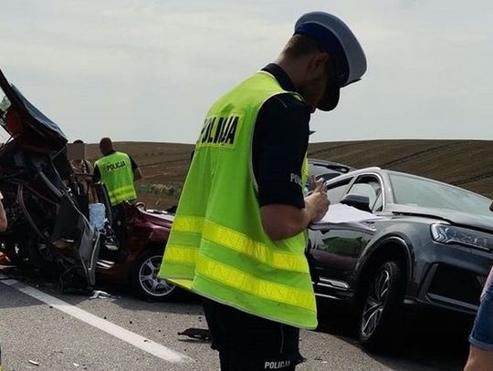 Wstępne ustalenia po wypadku śmiertelnym w Szprudowie