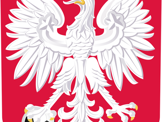 Wszystkie drogi prowadzą do kadry? Poznaj 5 historii reprezentantów Polski