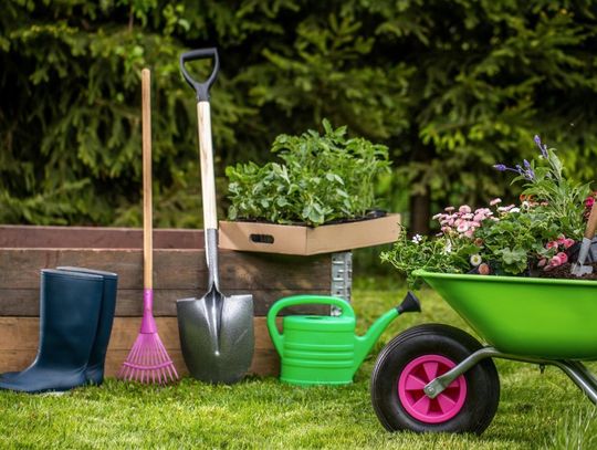 Wszystko ma swoje miejsce - jak zaplanować idealną przestrzeń dla każdego przedmiotu w ogródkowej altanie?