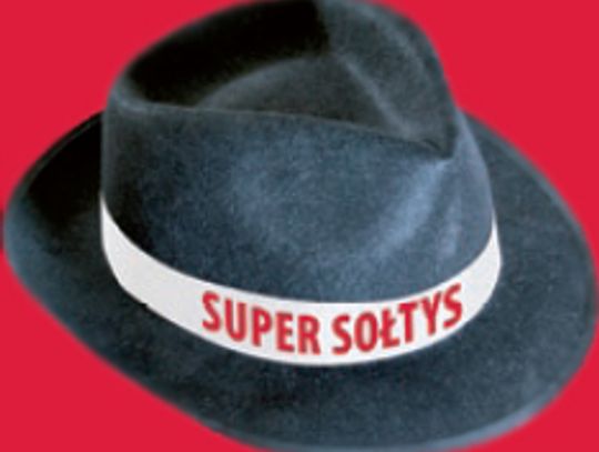 Wybieramy „Super Sołtysa 2013 roku”