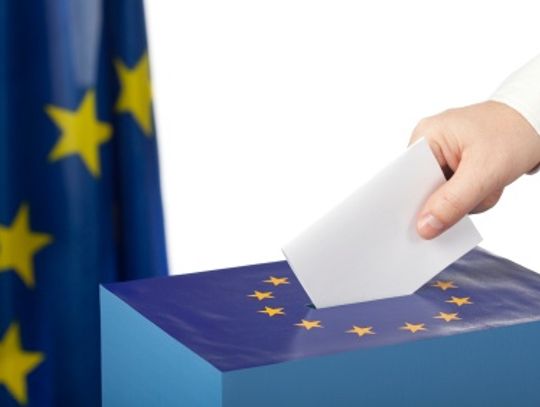 Wybory do Europarlamentu - gdzie głosować?